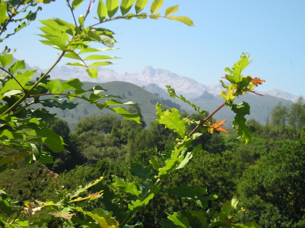 Casa Rural Alborada 博比亚达里巴 外观 照片