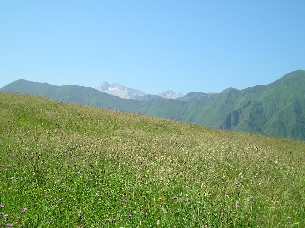 Casa Rural Alborada 博比亚达里巴 外观 照片